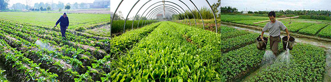 �_ʩ�ʹ��b�C