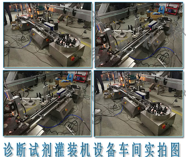 醫用診斷試劑灌裝旋蓋機,診斷試劑灌裝機設備