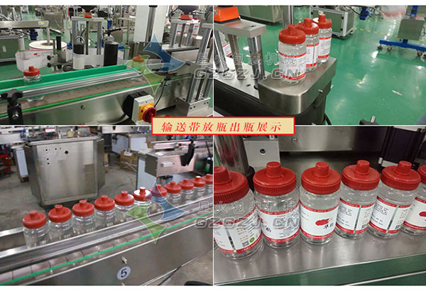 ������b�C�S�������a�F������