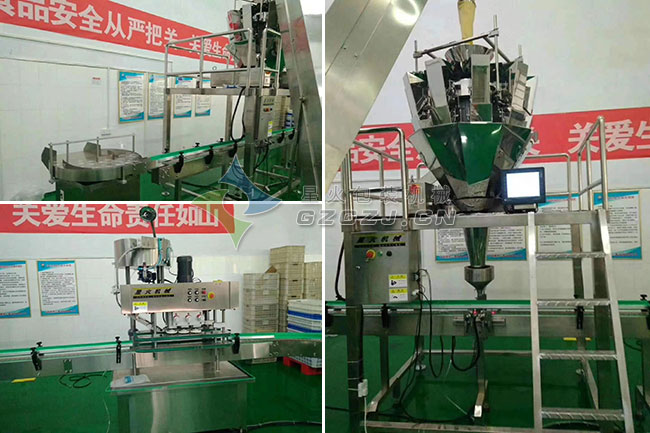 ƿ�b��֥����b�C���a����չʾ