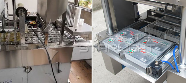 ���b��Ѫ���b�C����չʾ