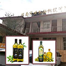 橄欖油-植物油灌裝機案例
