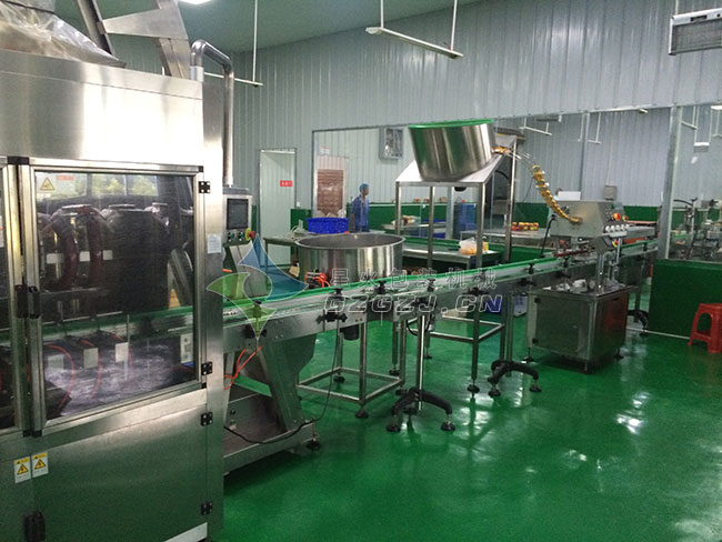 燒烤醬灌裝機整機展示